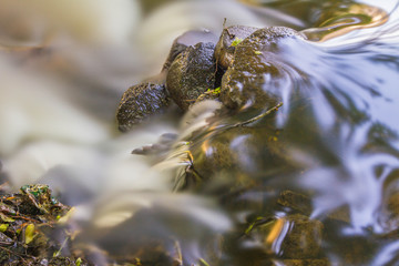 Rapid stream flowing over rocks on a sunny day - long exposure