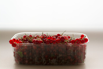 Currant berries on a white background in a plastic transparent container.Currant berries on a white background in a plastic transparent container. Berries glow in the light. Tasty, beautiful summer