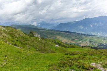 Fototapeta na wymiar The grassy meadows of the Alps in Switzerland in summer - 2