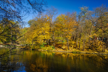 Fototapeta na wymiar Nice autumn panorama of Sofiyivka Park lake Ukraine Uman rainbow nature gold water