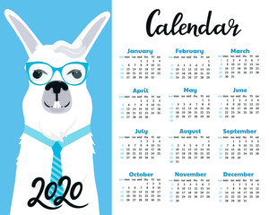 Calendar for 2020. Week start on Sunday. Business Llama with eyeglasses and tie. © LiluArt
