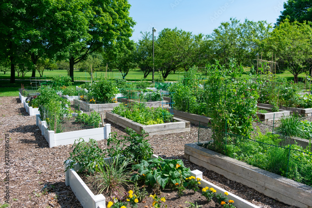 Wall mural planters at a community garden in a park in edgewater chicago