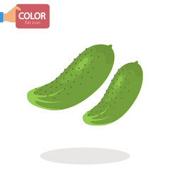 Cucumber vegetable color vector icon. Flat design