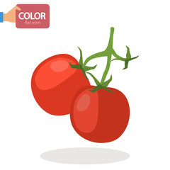 Tomato vegetable color vector icon. Flat design
