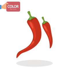 Chili pepper color vector icon. Flat design