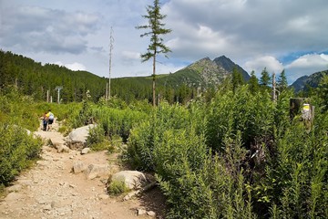 Hiking trail in Mlynicka valley to the Waterfall Skok.