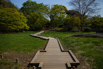 昭和記念公園の湿地
