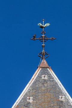 Imagen vertical de la veleta de una iglesia con un cuervo sobre ella