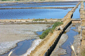 Salt producing lagoon, Nin