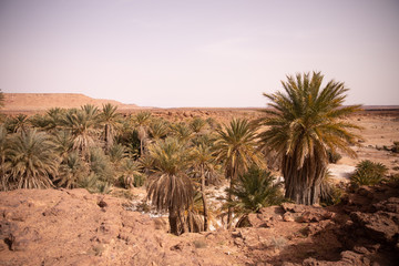 marruecos