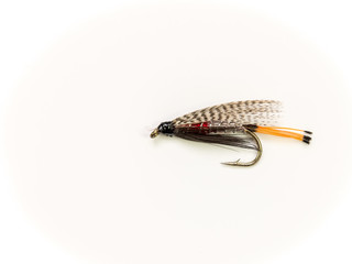 Peter Ross Wet Trout Fly Fishing Fly