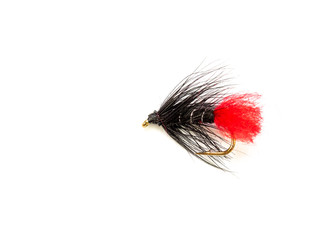 Zulu Wet Trout Fly fishing Fly