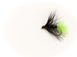 Zulu Viva Wet TRout Fly Fishing Fly
