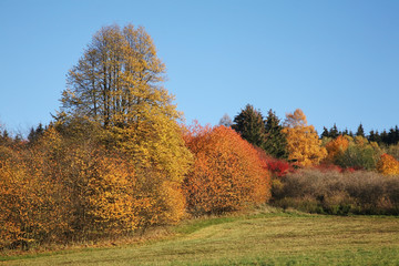 Landscape near Cesky Krumlov. Czech republic