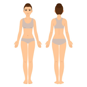 Female body front and back