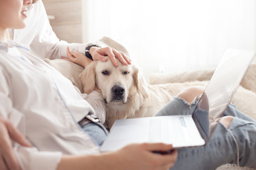 Contented big white dog sits on the sofa against the background of its blurred owners of a young girl and a guy searching the Internet at a veterinary clinic
