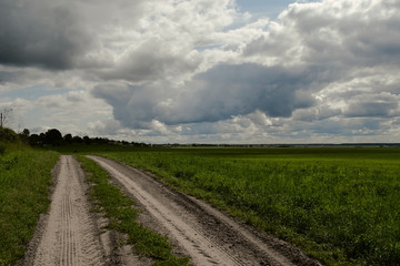 Fototapeta na wymiar Unpaved road leading to the village across the field.