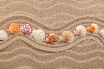 Fototapeta na wymiar Sea shells in the form of a zigzag lies on the dunes. With space for design, text place.