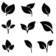 leaves icons vector set. sheet icon illustration. leaves collection symbol.