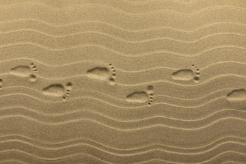 Imprint of many human footprints on the sand, as background, textures. Top view.