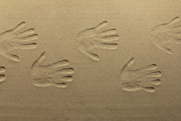 Fototapeta na wymiar Imprint of many human hands on the sand, as background, textures.