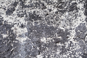 The basement of the house of cinder blocks