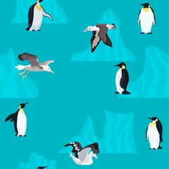 Naklejka premium colorful poster for albatrosses and penguins