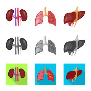 Vector design of biology and scientific icon. Set of biology and laboratory vector icon for stock.