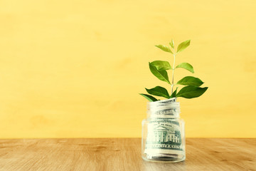 Business image of plant growing in savings jar, money investment and financial growth concept