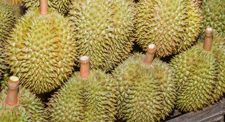Close-up of durian fruits at market, Thailand.