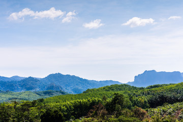 Fototapeta na wymiar landscape of green hill mountain view at Surat Thani province, Thailand