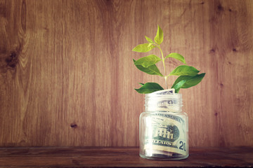 Business image of plant growing in savings jar, money investment and financial growth concept