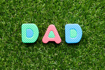 Toy foam letter in word dad on green grass background