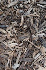 Wooden tree sticks forming a texture