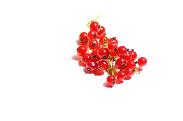 Red currents berries isolated on white,photo