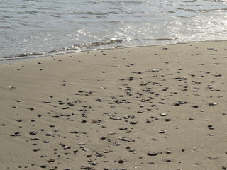 Mediterranean sea. Israel