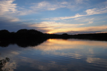 Fototapeta na wymiar Sunset on Paurotis Pond in Everglades national Park, Florida.