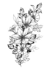 Hand Drawn Monochrome Floral Composition