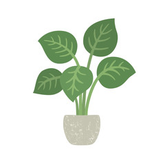 Houseplant with potted. Vector illustration isolated. EPS10