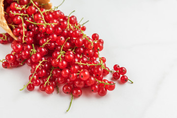 red currant berries in waffle ice cream cone on white marble background. creative summer food concept