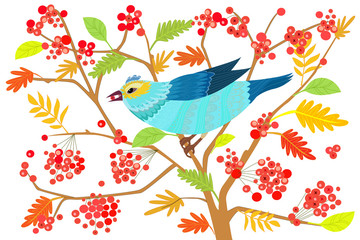 colorful bird with berry in beak on branch of rowan tree for you