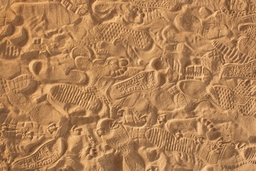 Traces of protectors of shoes, bare feet and gulls on the sand in the rays of the warm sunset sun.