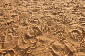 Traces of protectors of shoes, bare feet and gulls on the sand in the rays of the warm sunset sun.