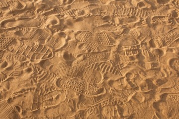 Traces of protectors of shoes, bare feet and gulls on the sand in the rays of the warm sunset sun.