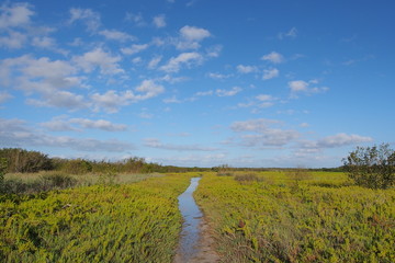 The Coastal Prairie Trail in Everglades National Park, Florida.