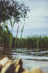 lake