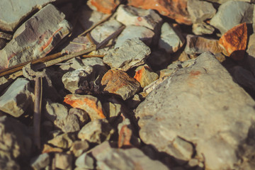 rocks