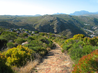 Fototapeta na wymiar A mountain path in South Africa, Cape Town, South Peninsula.