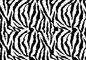  zebra texture