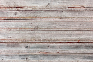 Wood Texture Background Coming from Natural Tree